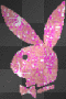 playybunny