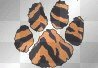 tiger paw