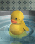 rubber ducky