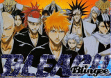 Bleach Boys