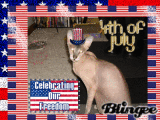 Happy 4th of July