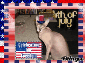 Happy 4th of July