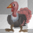 turkey