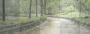 new rain (USE IT OR DON'T RATE IT)