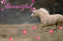 Glitter Graphics