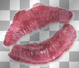 Lips