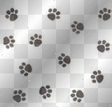 white pawprint background white pawprint background