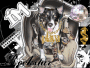 Gangsta Dog