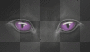 Cat Eyes