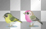 pinkypatty_2007