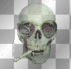 Smoking Skull