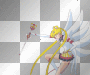 Sailor Moon