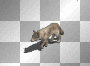 shadow walk