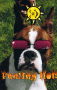 ILoveBoxers5