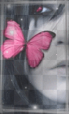 Glitter Graphics