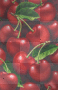 Cherry Cherry