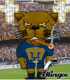 pumas sagrado