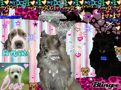 My dogs Puff and Pepsi! My dogs Puff and Pepsi!