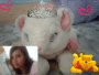 My Cat N Me