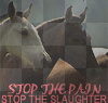 STOP THE PAIN