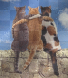 3 buddies