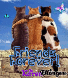 3 buddies