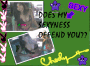 does my sexyness offend you