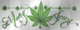 mary jane