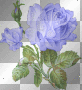 bluerose