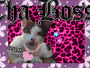 Norry
