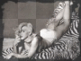 madonna zebra