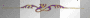 Purple n gold