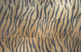 Tiger Print =)