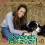 Best freins