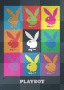 colourfull playboy