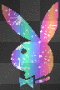 Playboyrainbow