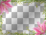 Garden Frame
