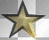 gold star