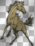 dun mustang 