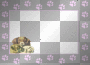 paws3 frame
