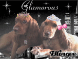 kings