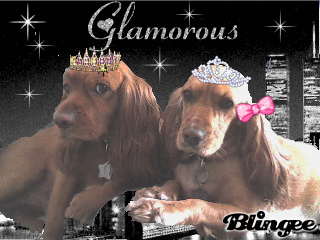 kings