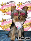 PRINCESS