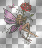 Rose Fairy