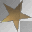 Gold Star