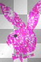 playboy