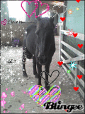 Joezi in luv wiv (SHHH, its whibba)