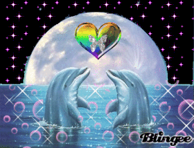 dolphinlove