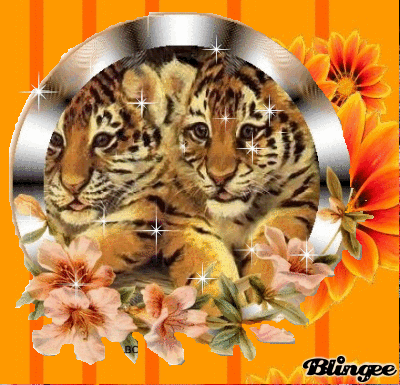 blingee tiger and flowers 