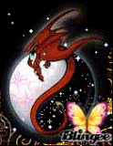 yin yan dragon